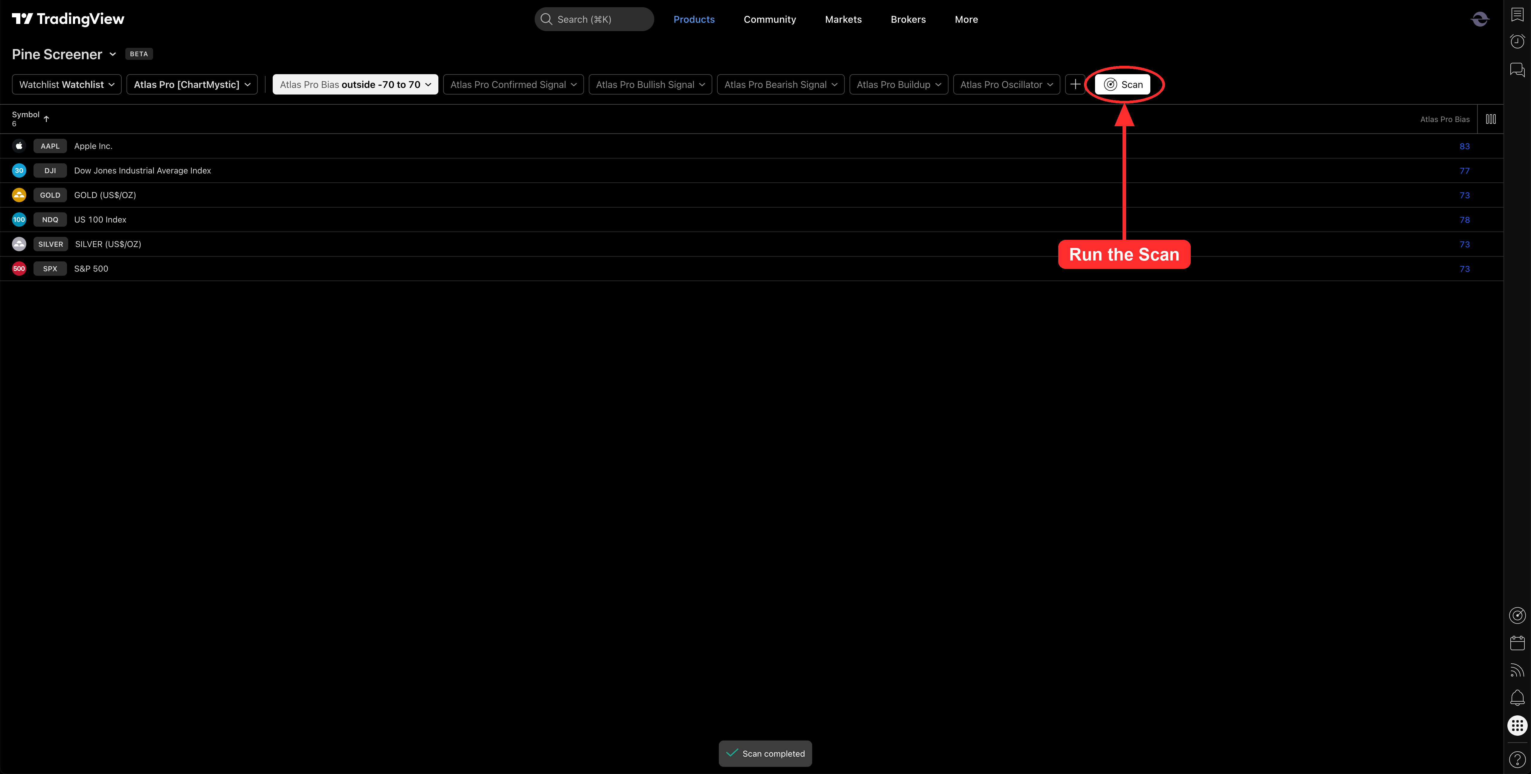 Running the scan and opening a result